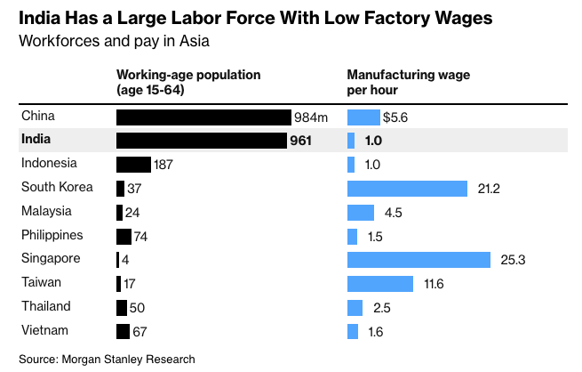 Skilled and Affordable Labor