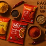 Orkla India IPO 2025: Comprehensive Business and Financial Analysis